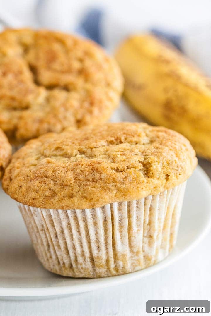 Foolproof Banana Muffins 2 Close-up of a perfectly baked banana muffin on a white plate, with a rustic background of more muffins and fresh bananas.