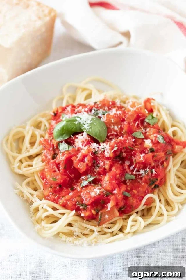 Spaghetti with Fresh Tomato Sauce, Basil, and Parmigiano A perfectly plated serving of spaghetti topped with homemade fresh tomato sauce, garnished with vibrant basil leaves and a generous dusting of Parmigiano cheese, ready to be enjoyed.