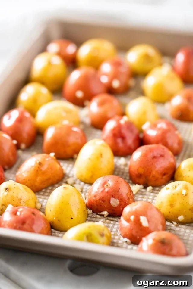 Ultimate Roasted Potatoes 4 Raw, halved young potatoes with garlic lying cut side down in a baking sheet, ready for the oven.