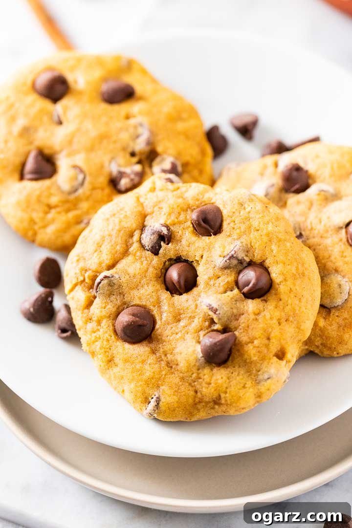 Cozy Autumn Pumpkin Chocolate Chip Cookies 4 Close-up view of three perfectly baked pumpkin chocolate chip cookies on a white plate, adorned with a sprinkle of chocolate chips, showcasing their irresistible texture.