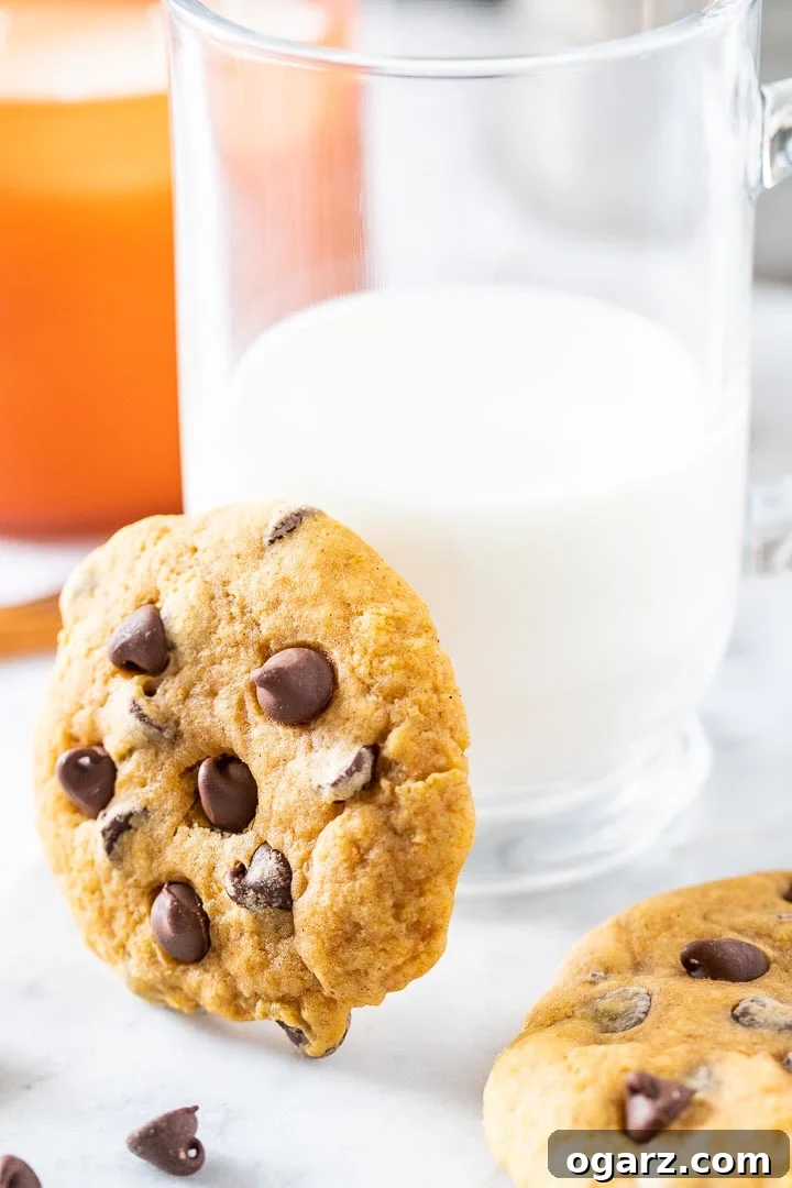 Cozy Autumn Pumpkin Chocolate Chip Cookies 5 A delightful pumpkin chocolate chip cookie leaning against a glass of milk, accompanied by another cookie on the side, creating a cozy and inviting scene.