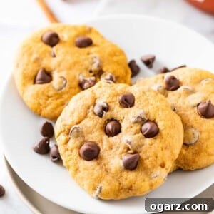 Three pumpkin chocolate chip cookies on a white plate, garnished with chocolate chips on a marble cutting board, capturing their delicious appeal.