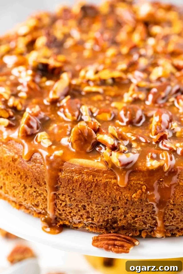 A whole cheesecake topped with pecans and caramel sauce.