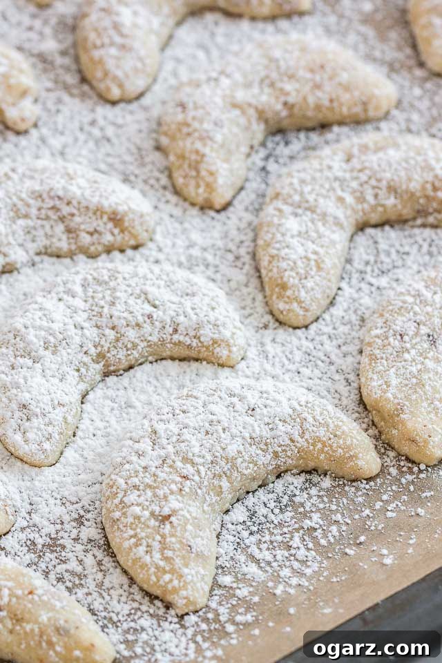Melt-in-Your-Mouth German Vanilla Crescents 3 Vanillekipferl dusted with Powdered Sugar