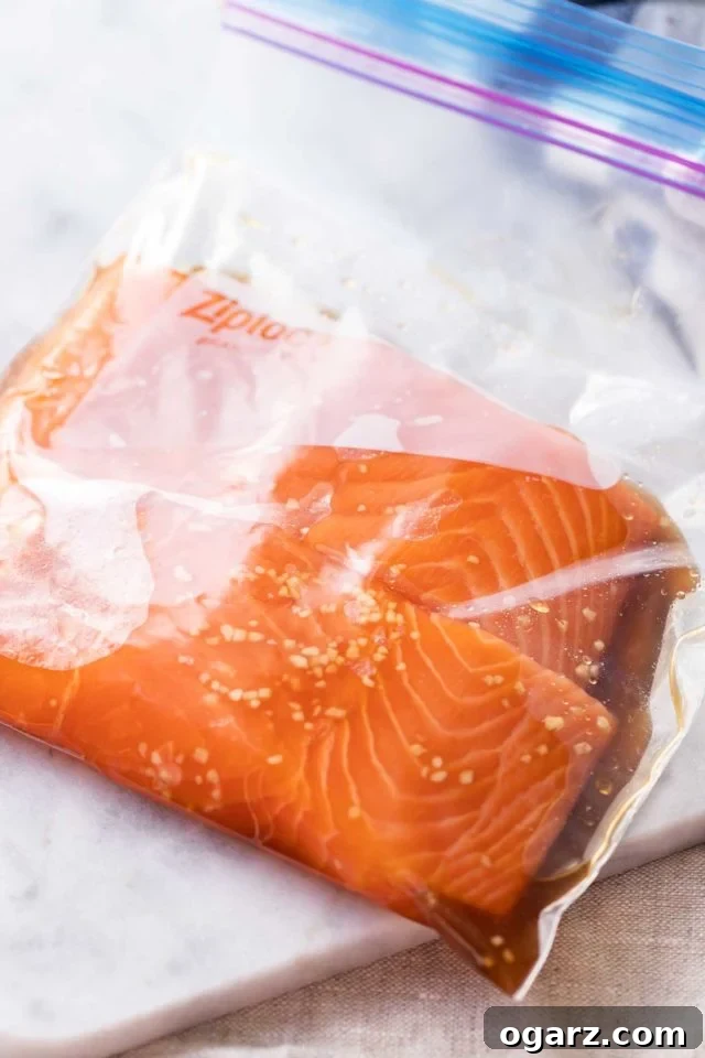Two salmon fillets, marinated in a flavorful teriyaki or soy-based sauce, sealed within a clear zipper bag for infusing flavors.