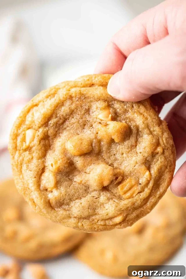 A hand holding a butterscotch cookie