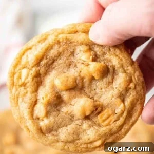 A hand holding a butterscotch cookie