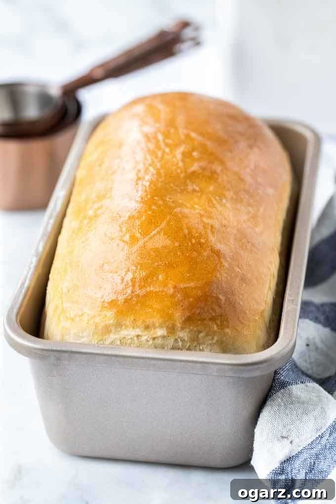 The Unvarnished Truth About White Bread 3 A golden-brown loaf of white bread, still warm and inviting, in an 8x4 inch loaf pan.