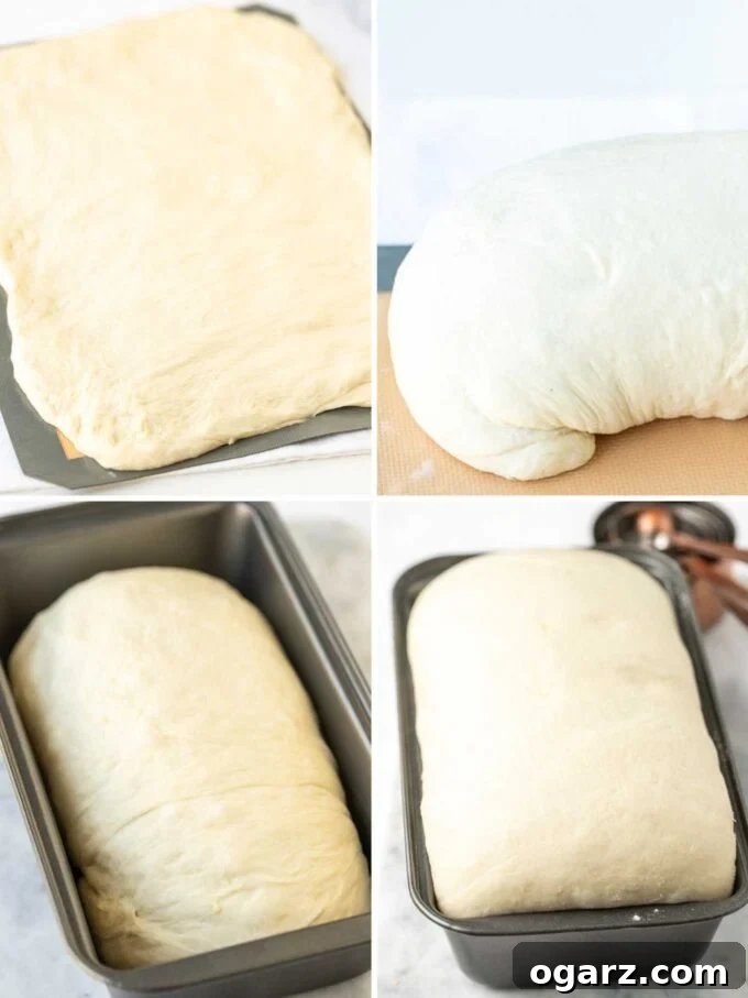 The Unvarnished Truth About White Bread 5 A step-by-step collage illustrating the process of shaping white bread dough before its final rise.