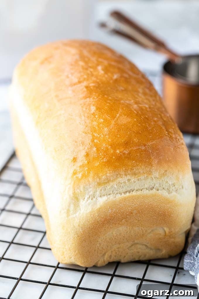 The Unvarnished Truth About White Bread 6 A beautifully baked loaf of white bread resting on a black cooling rack, accompanied by a set of bronze measuring cups.