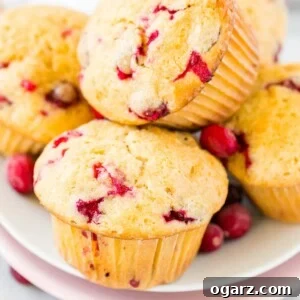 A stack of orange cranberry muffins on a white plate.