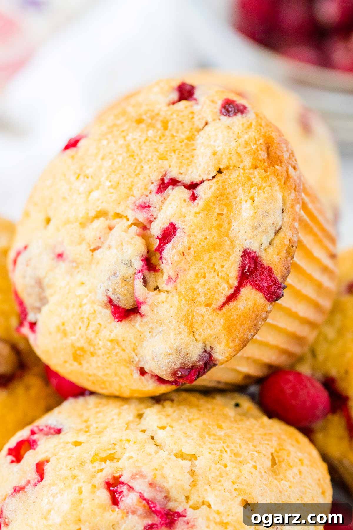 A close up of a muffin speckled with cranberries.