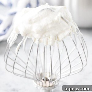 Silken Whipped Delight 7 Whipped cream on a Kitchen Aid whisk