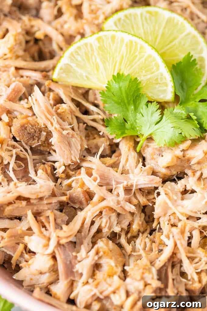 Ultimate Slow Cooker Carnitas 5 Close-up of Slow Cooker Carnitas garnished with a slice of lime and cilantro