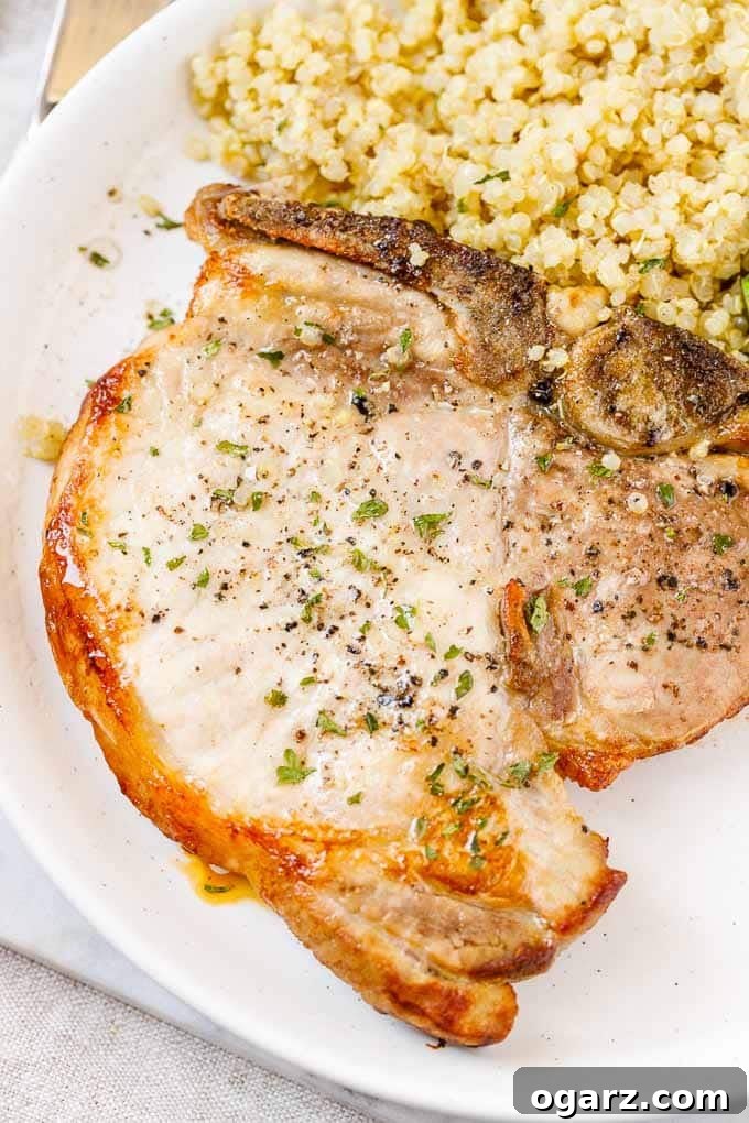 Perfect Air Fryer Pork Chops 4 Close-up of Air Fryer Pork Chops with Quinoa on a plate.