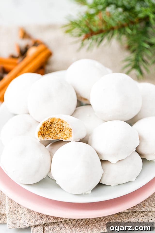 Sugar-Dusted Winter Spice 2 Pfeffernusse cookies artfully arranged on a festive plate, ready for the holidays.