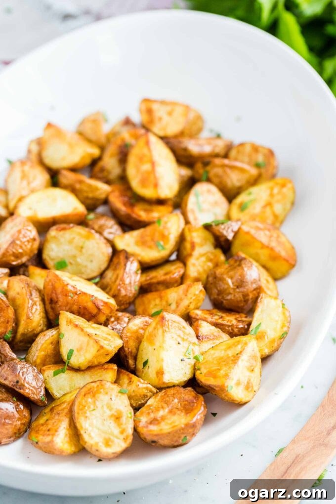 Crispy Air Fryer Potatoes 4 Air Fryer Roasted Potatoes beautifully sprinkled with fresh parsley, served in a pristine white bowl.