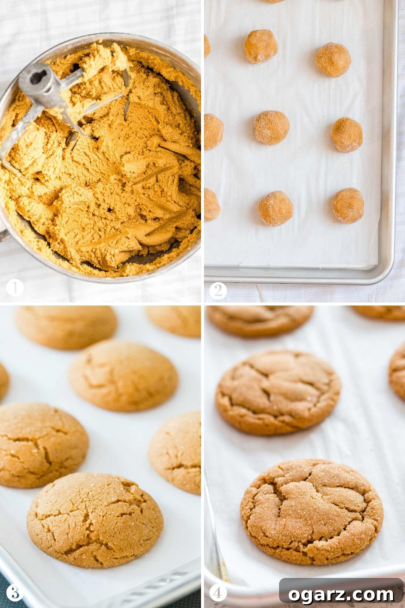 Irresistible Spiced Ginger Snaps 3 How to make Ginger Snap Cookies Collage, showing step-by-step visuals of the baking process.