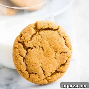 Ginger Snap Cookie with a glass of milk