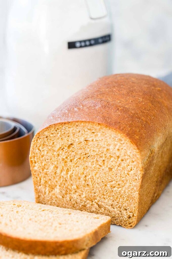 A freshly baked loaf of 100% whole wheat bread, sliced to show its soft, airy texture, with one slice resting beside it, ready to be enjoyed.