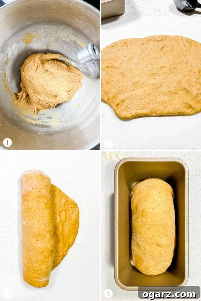 A step-by-step visual guide showing the process of making whole wheat bread: kneading the dough, first rise, shaping, and placing in the loaf pan.