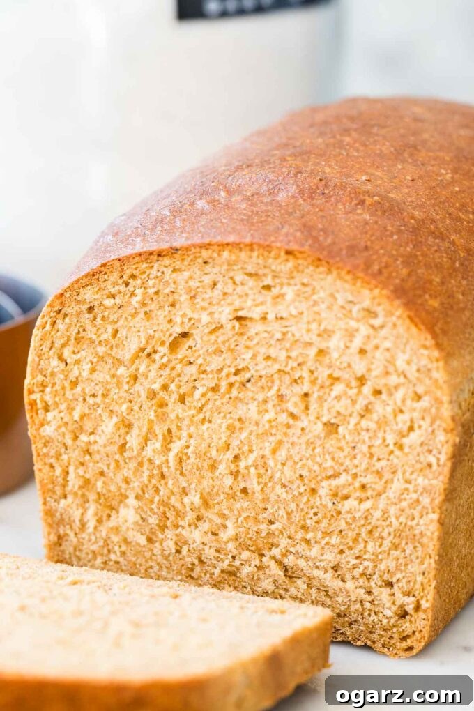 A close-up shot of a perfectly sliced loaf of whole wheat bread, revealing its soft, airy crumb and golden crust.
