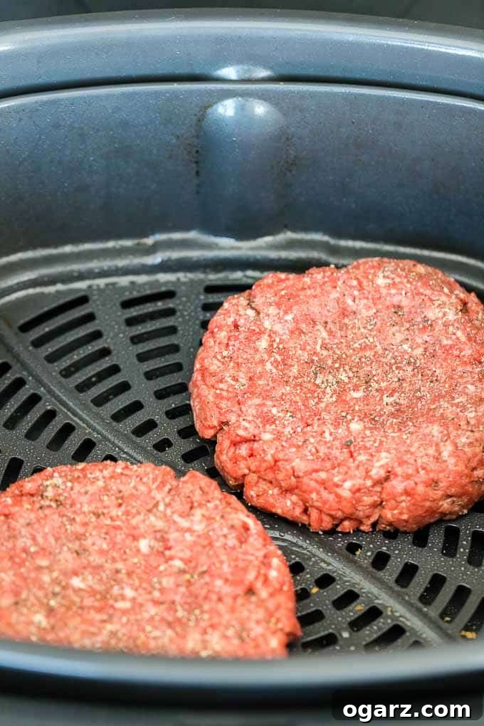 Two raw hamburger patties in the Air Fryer basket before cooking