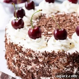 A Black Forest cake decorated with cherries on a cake platter.